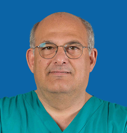 Chair: Professor Fabio Ciceri